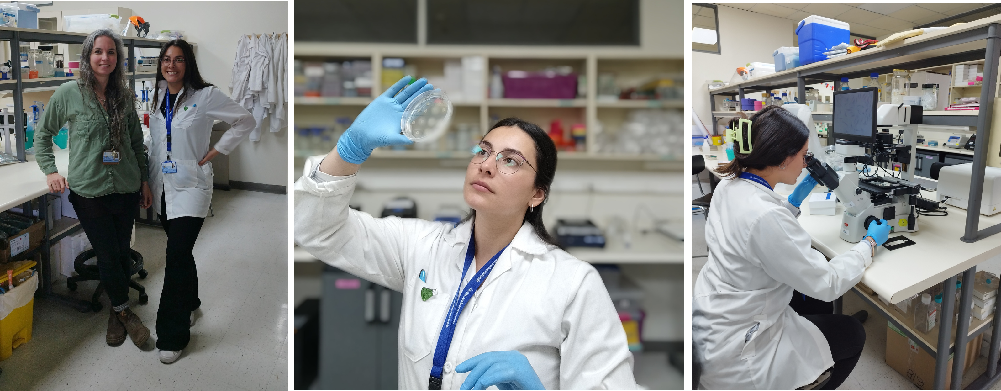 cereminia bienvenida doctorados 2025 jpg