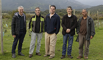 not sem accion temprana