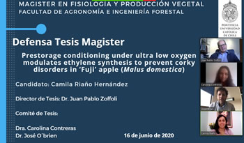 not tesis Camila Blano