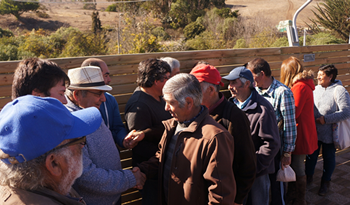 not campo polo legumbres