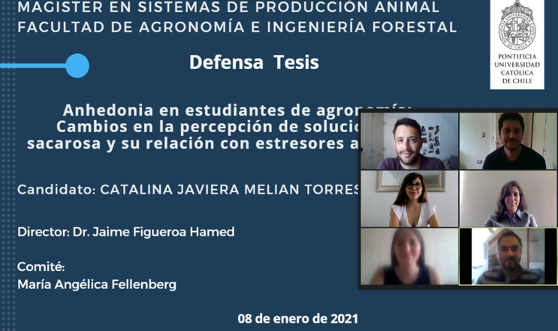 not tesis Luna Menares