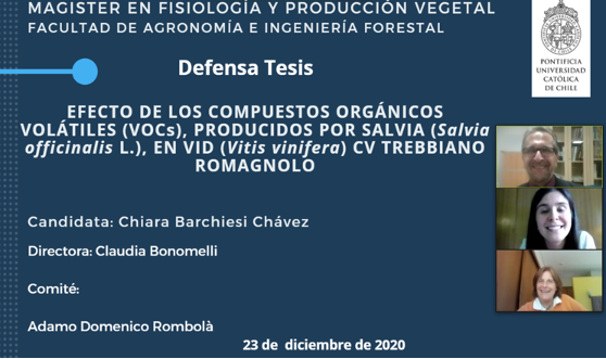 not tesis Luna Menares