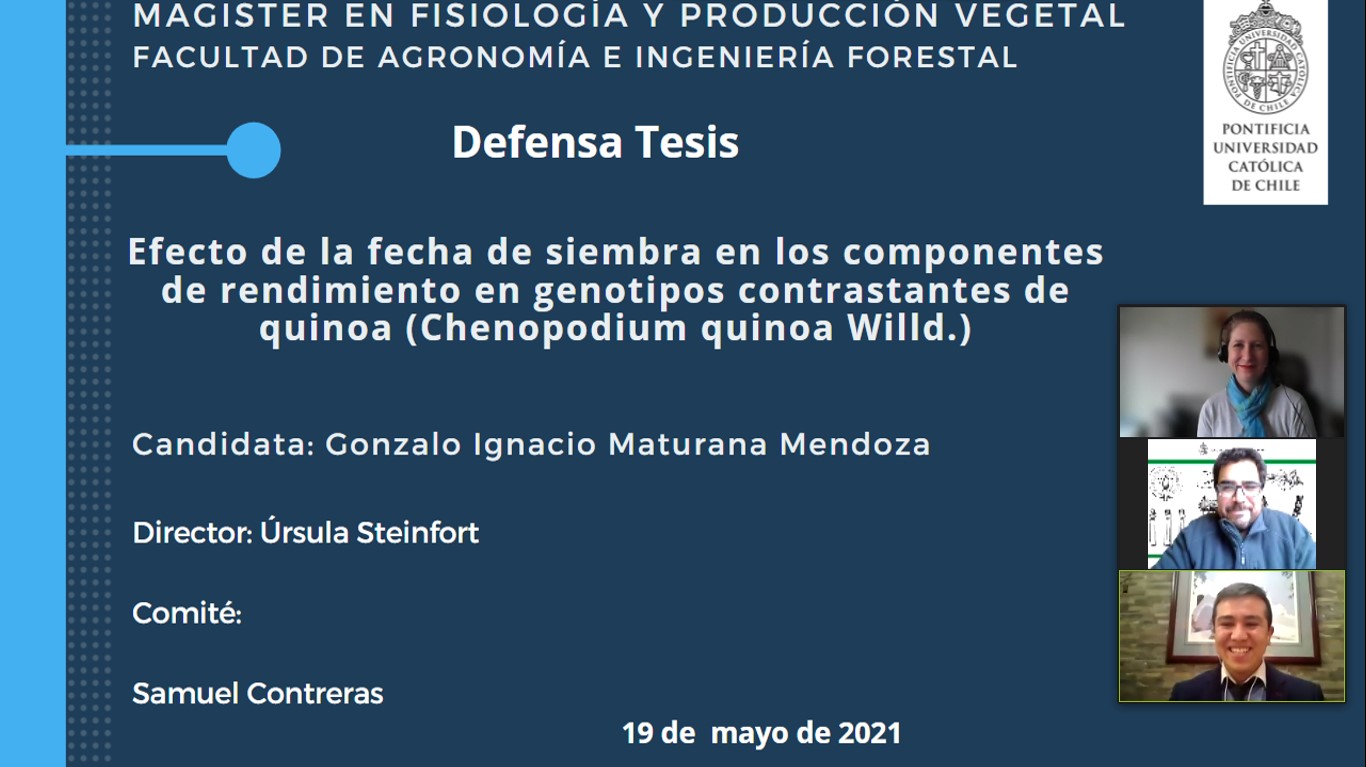 not tesis Luna Menares