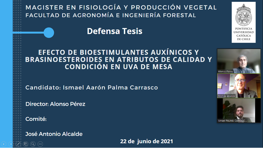 not tesis Luna Menares