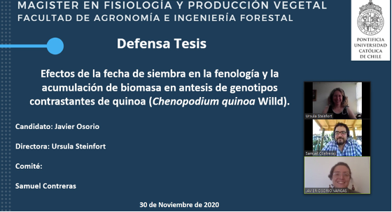 not tesis Luna Menares