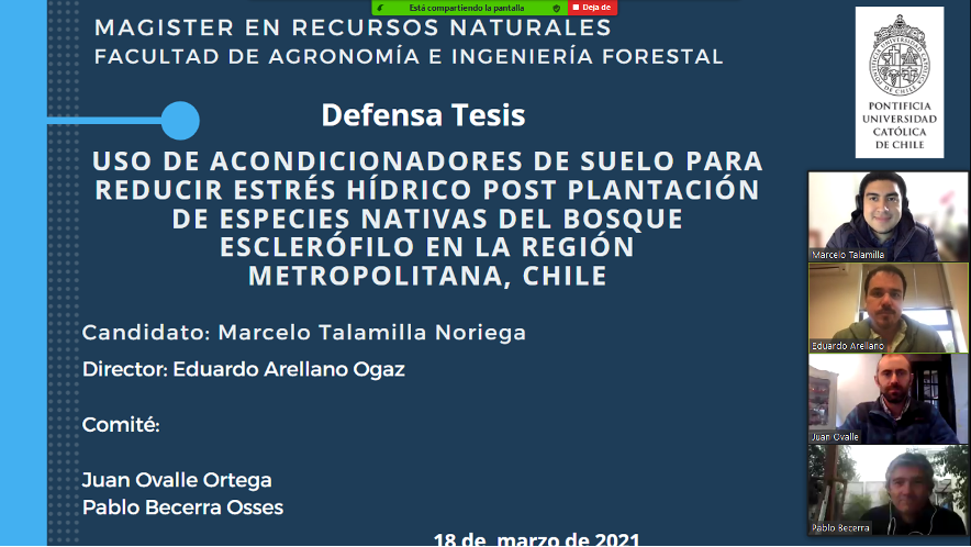 not tesis Luna Menares