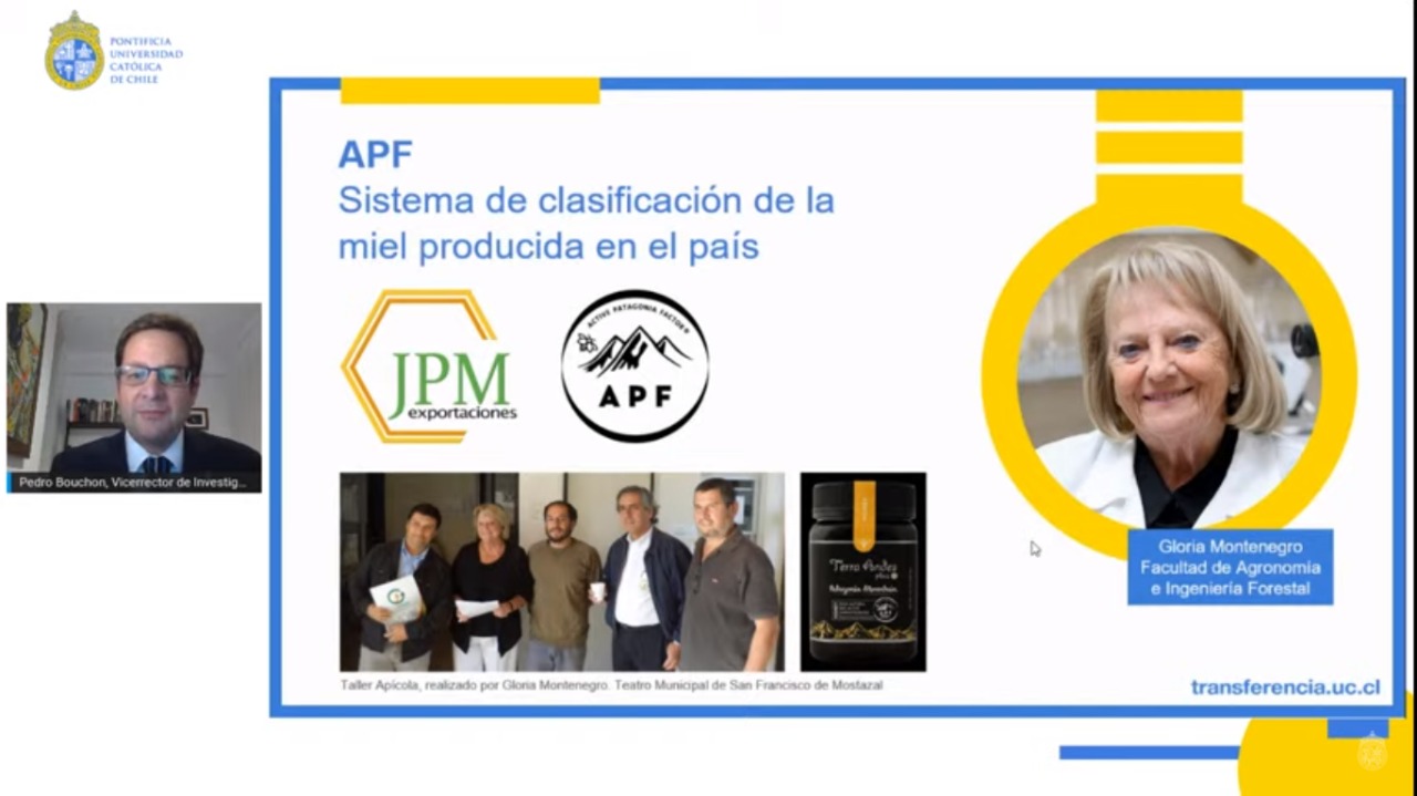 not tesis Luna Menares