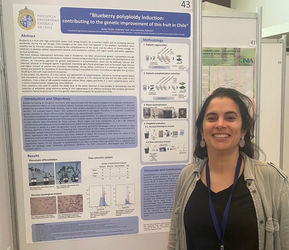 not tesis Luna Menares