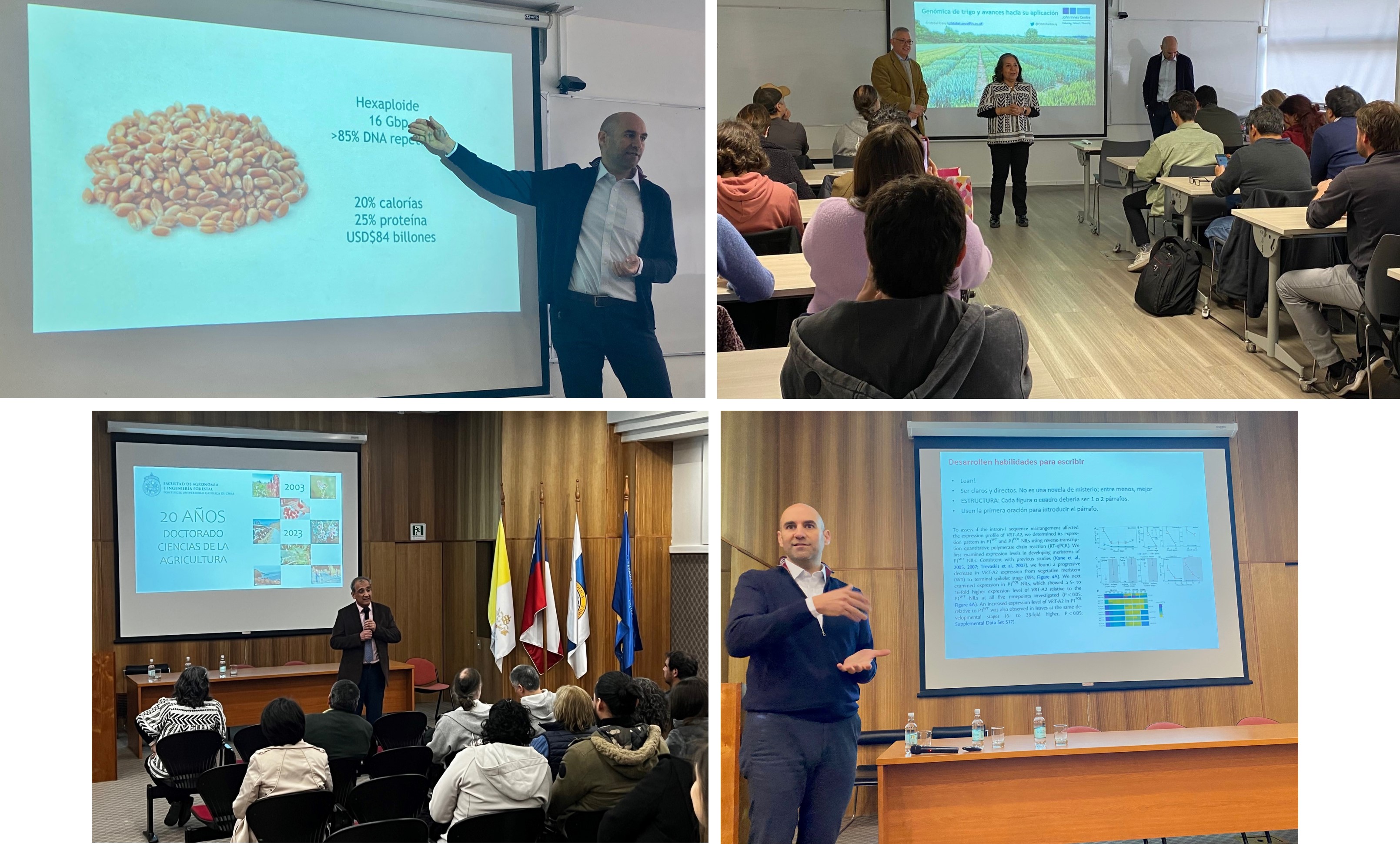 not tesis Luna Menares