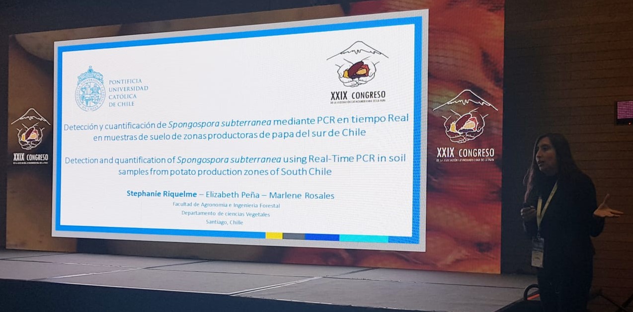 not tesis Luna Menares