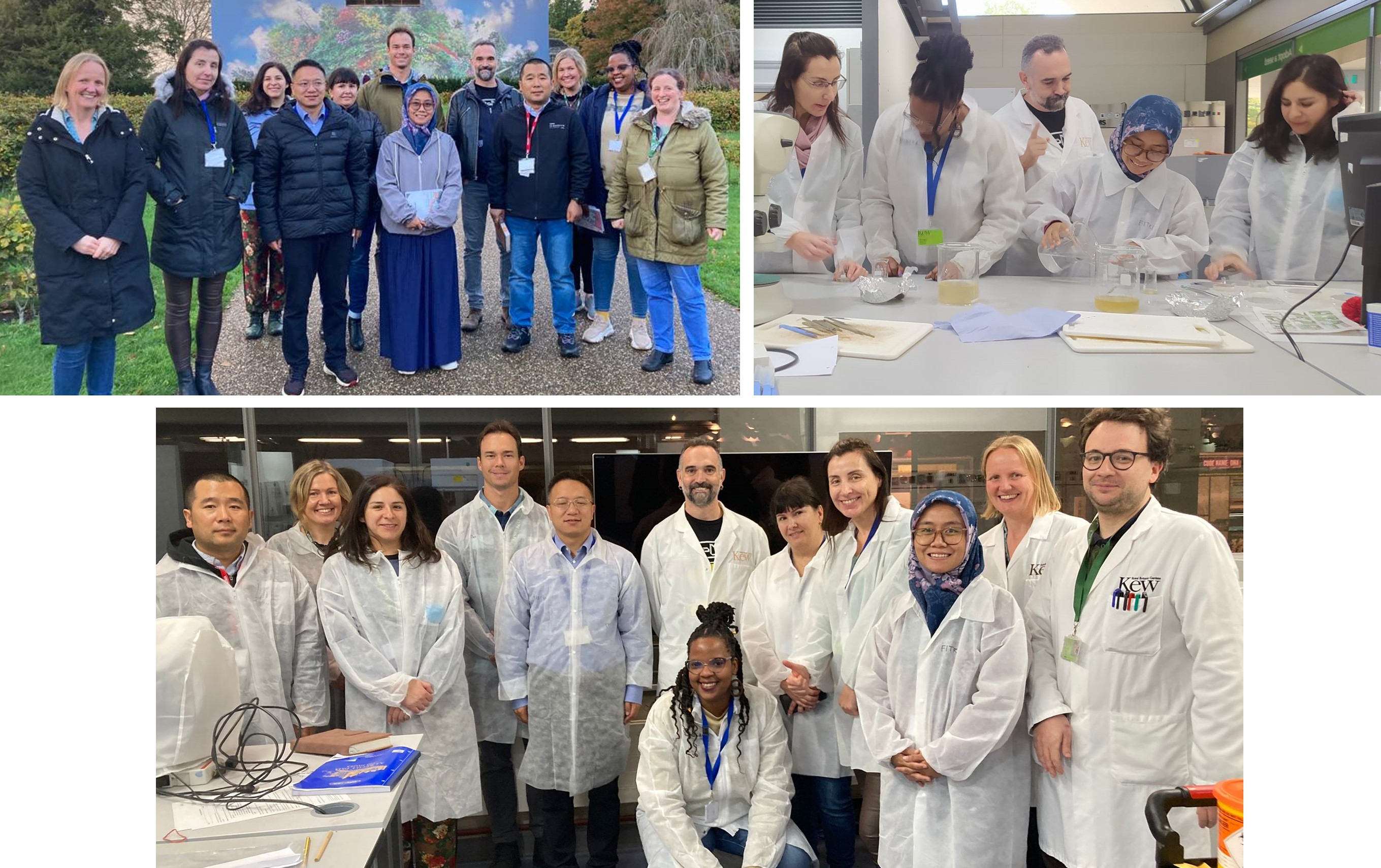 not tesis Luna Menares