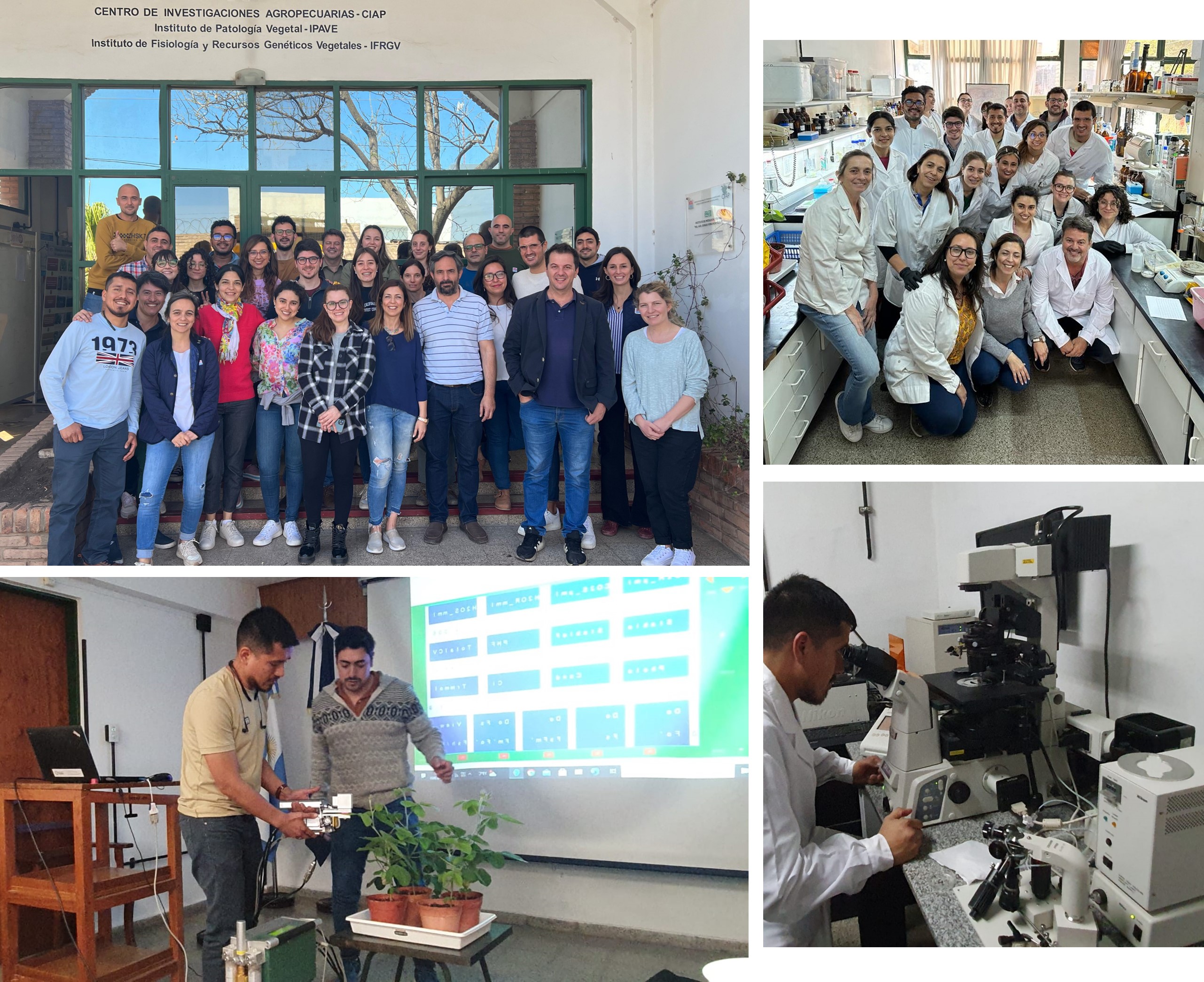 not tesis Luna Menares