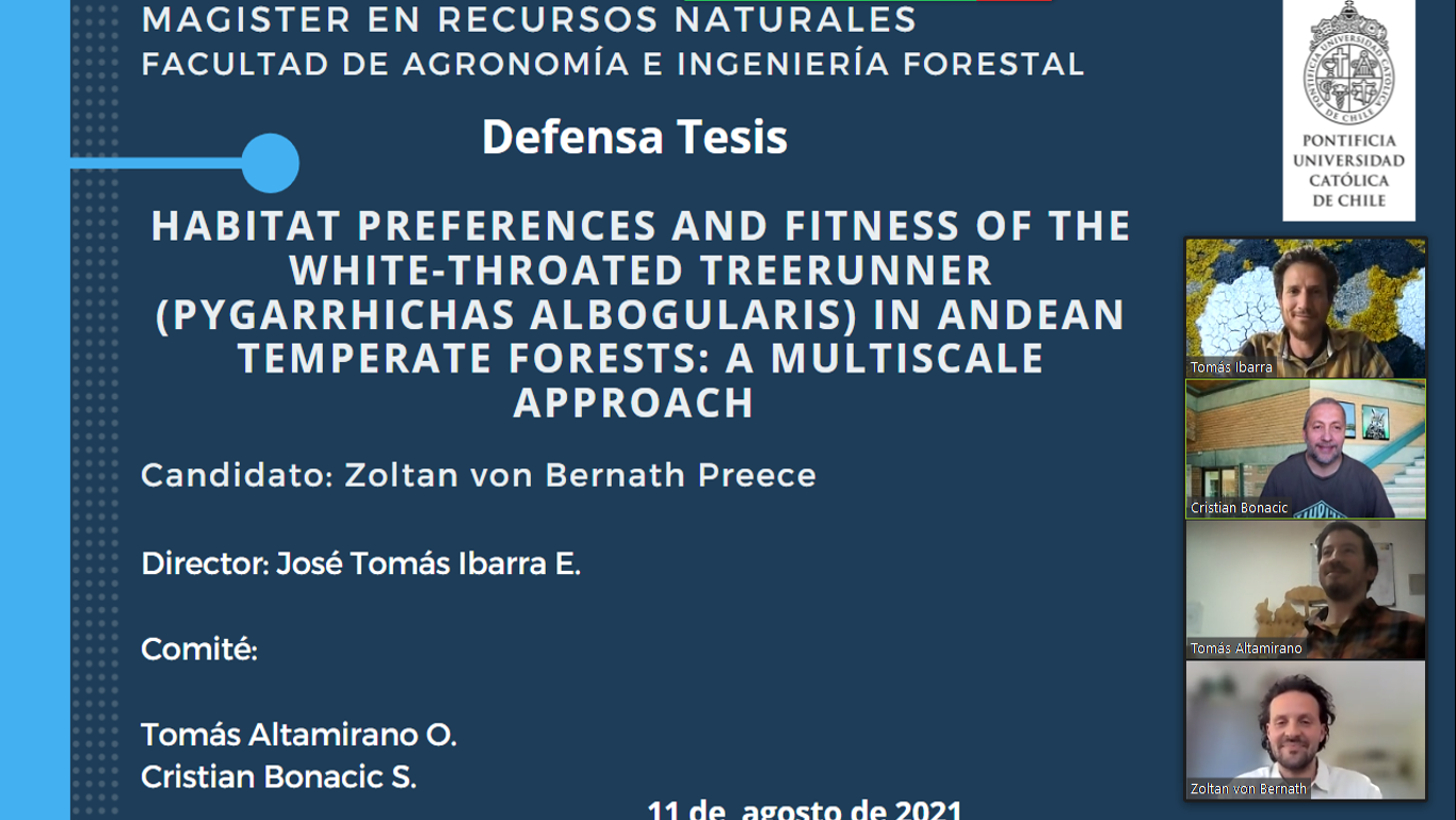 not tesis Luna Menares