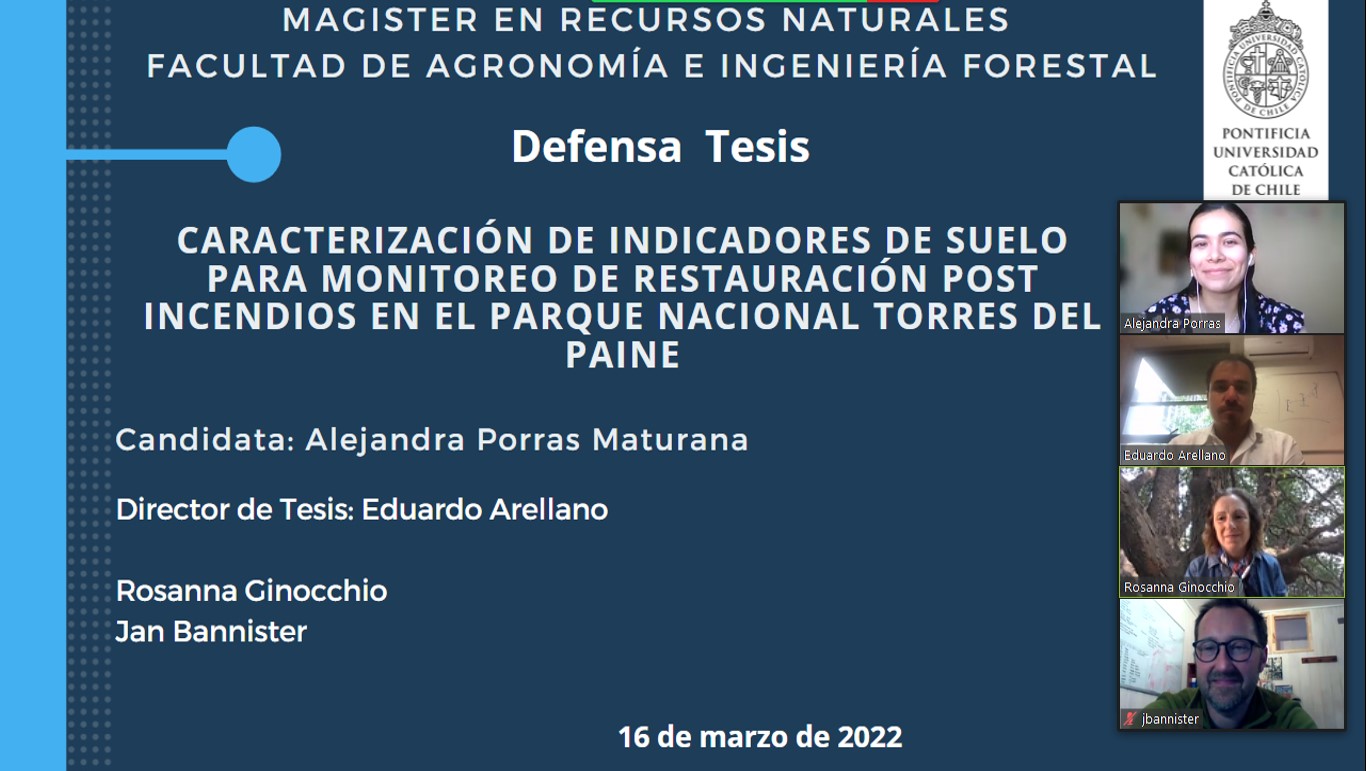 not tesis Luna Menares