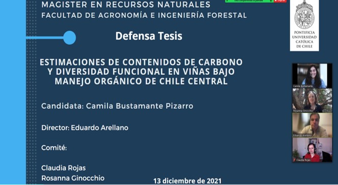 not tesis Luna Menares