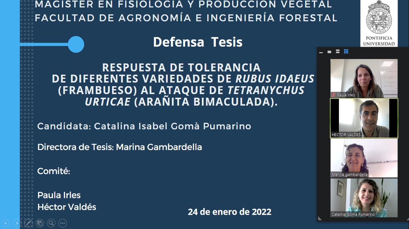 not tesis Luna Menares