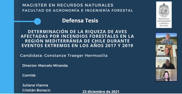 not tesis Luna Menares