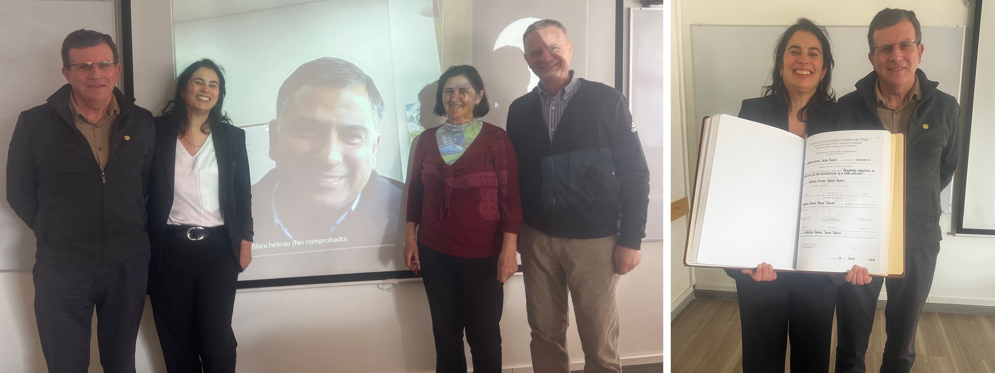 not tesis Luna Menares