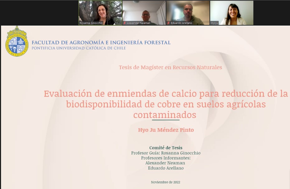 not tesis Luna Menares