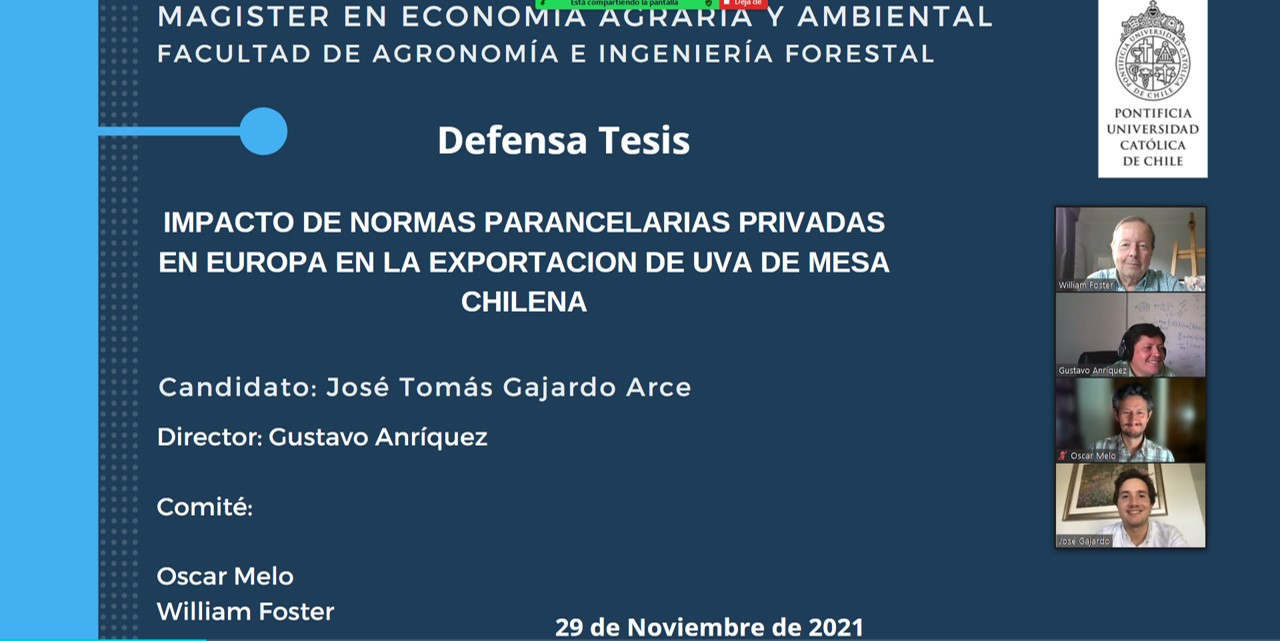 not tesis Luna Menares