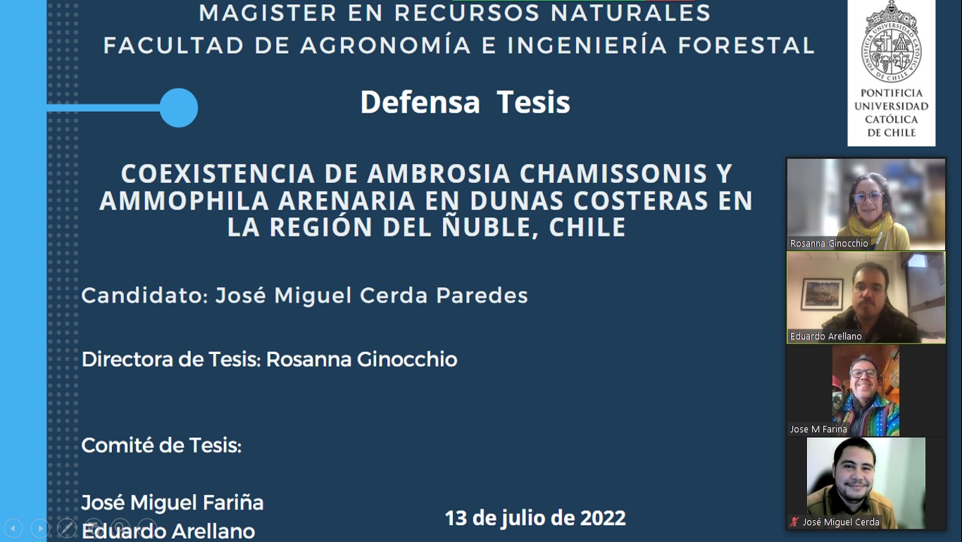 not tesis Luna Menares