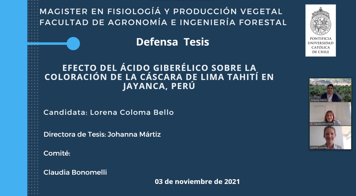 not tesis Luna Menares