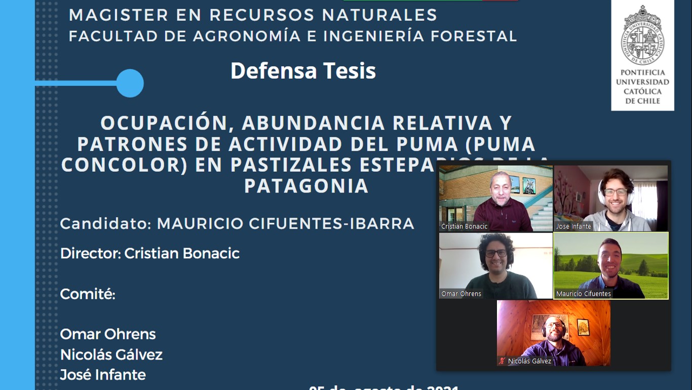 not tesis Luna Menares