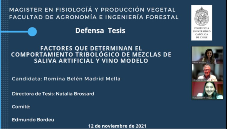 not tesis Luna Menares