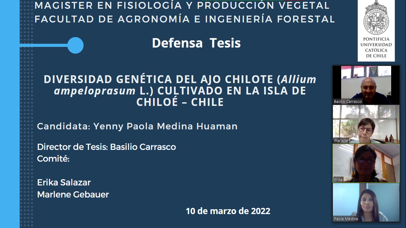 not tesis Luna Menares