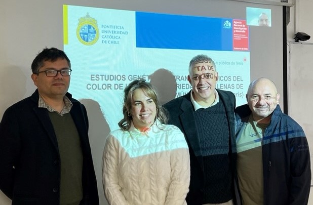 not tesis Luna Menares