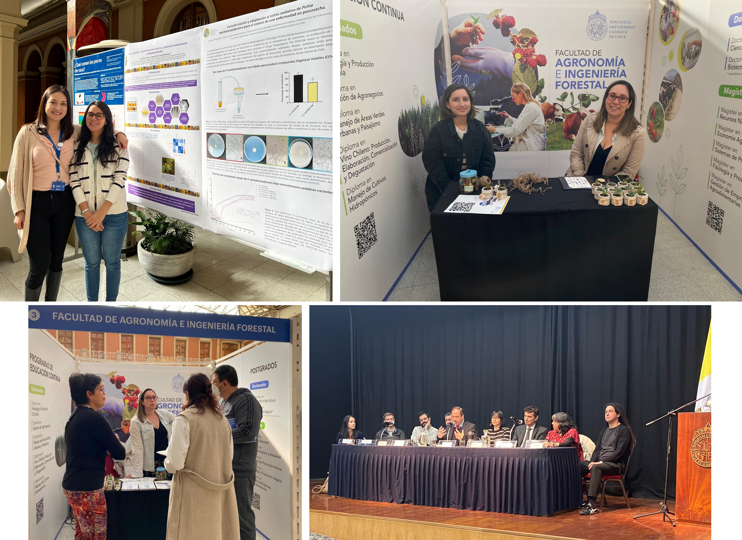 not tesis Luna Menares