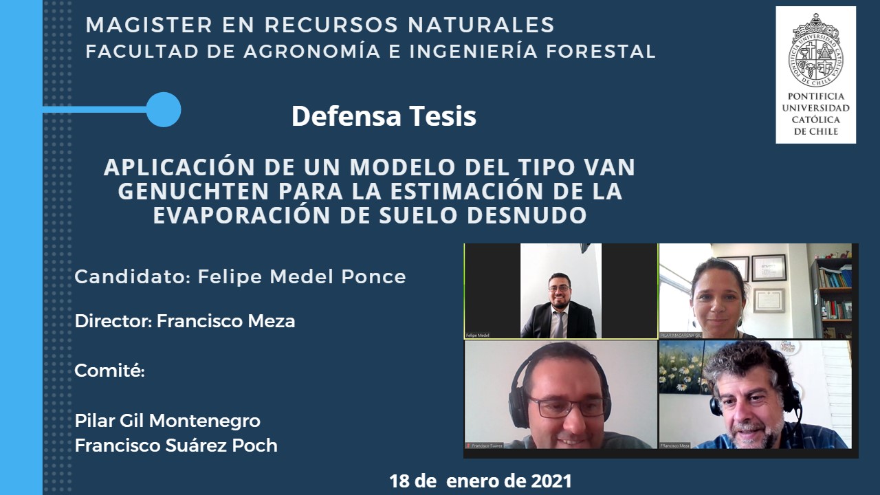 not tesis Luna Menares