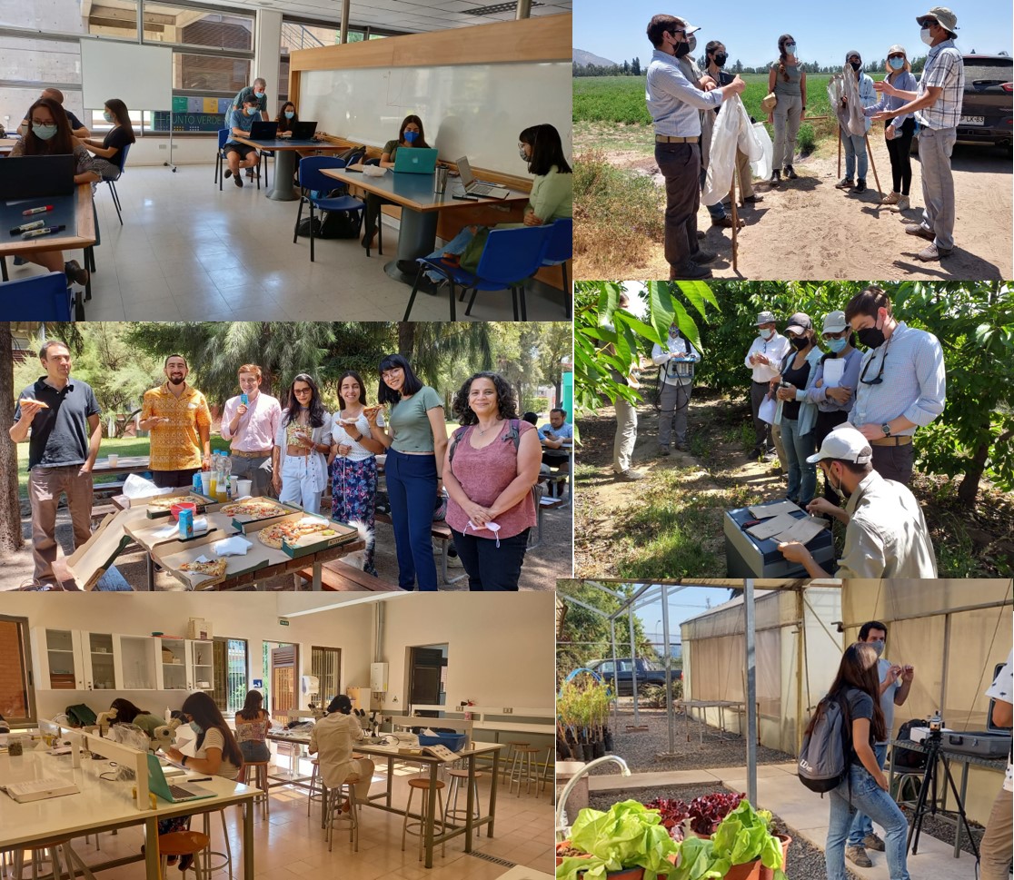 not tesis Luna Menares