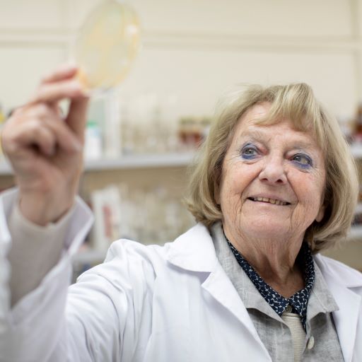 not tesis Luna Menares