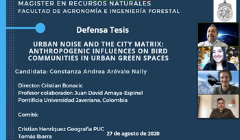 not tesis Constanza Arevalo