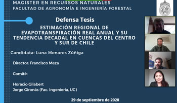 not tesis Luna Menares