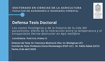 not tesis Patricia Aldea