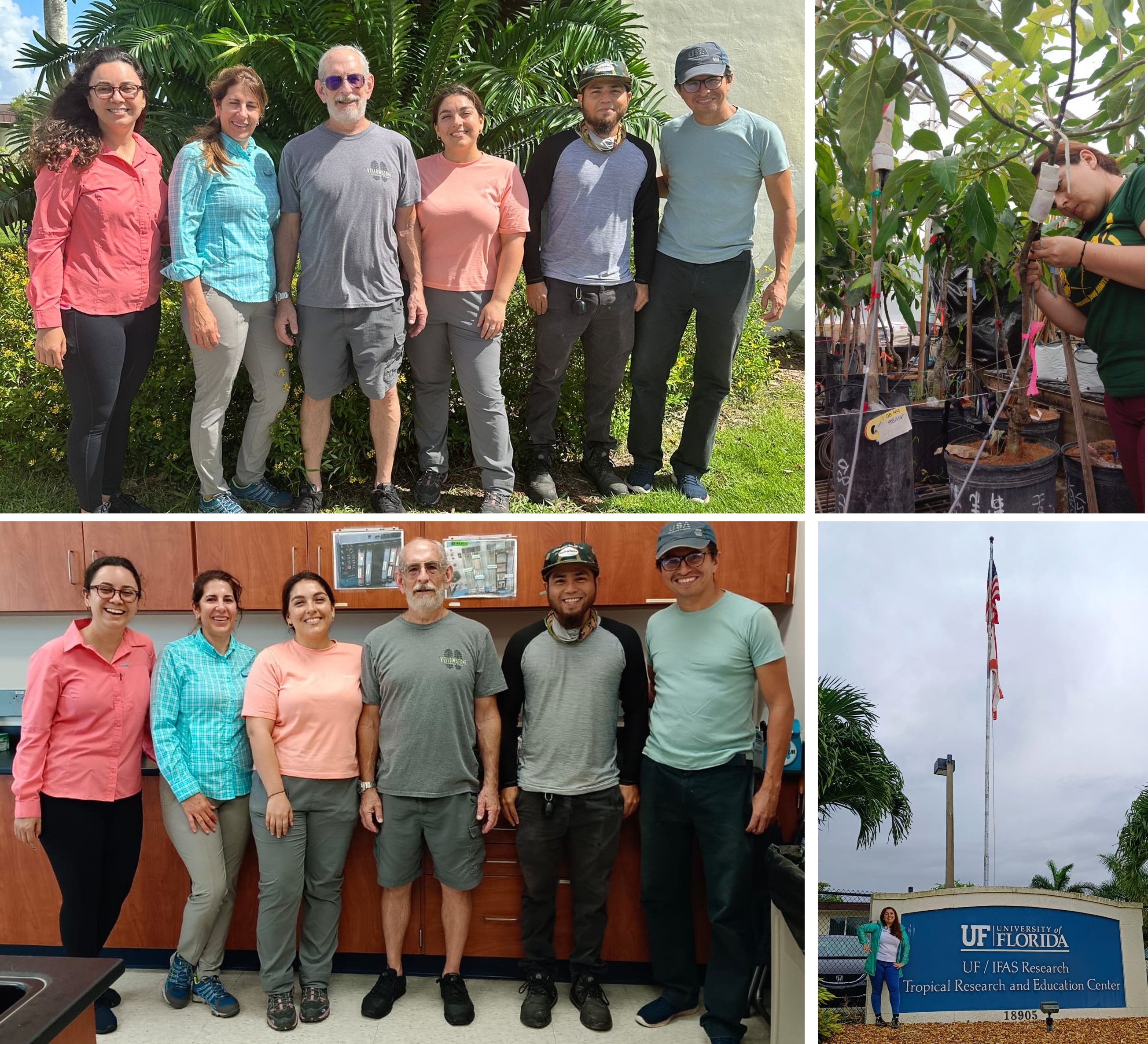 not tesis Luna Menares