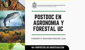 not postdoctoral 11072020