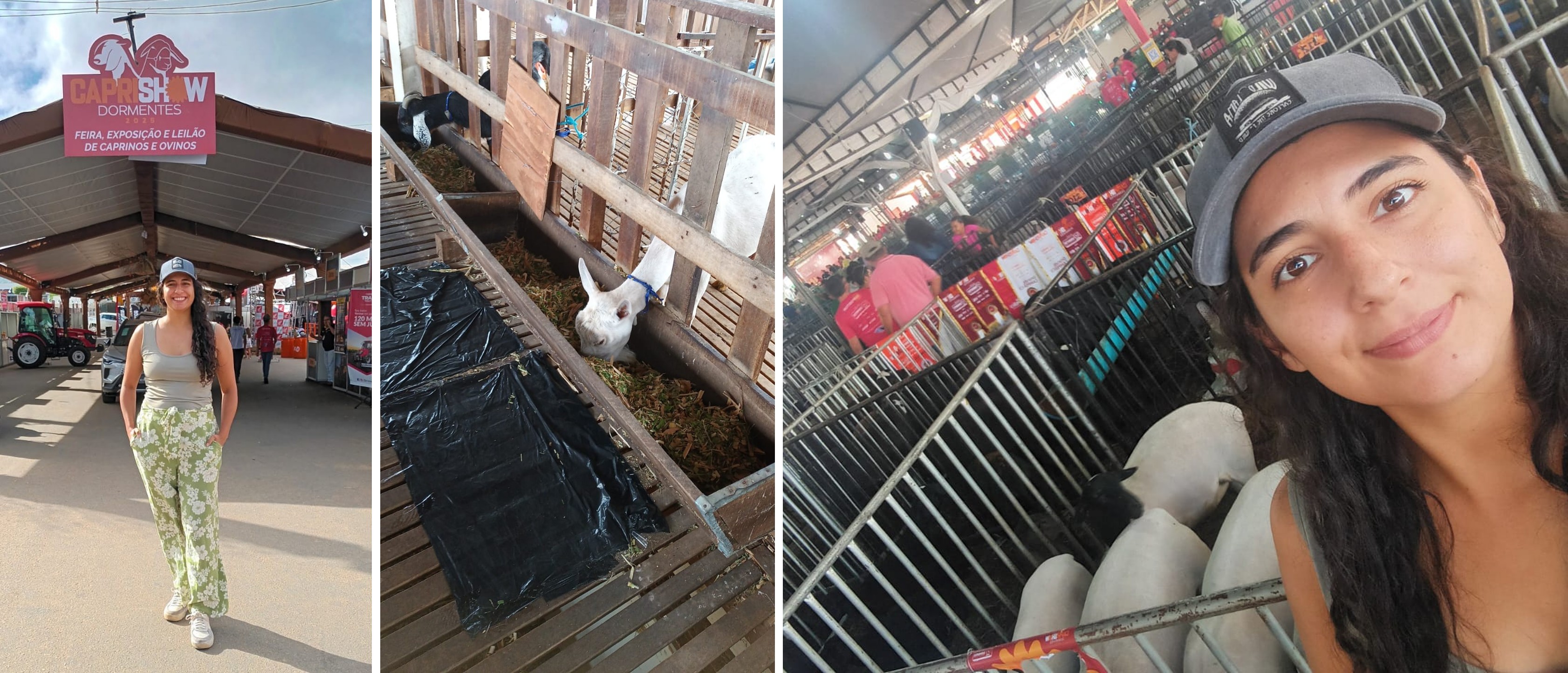 cereminia bienvenida doctorados 2025 jpg